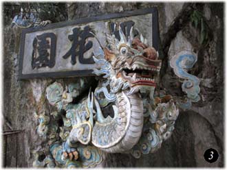 dragon